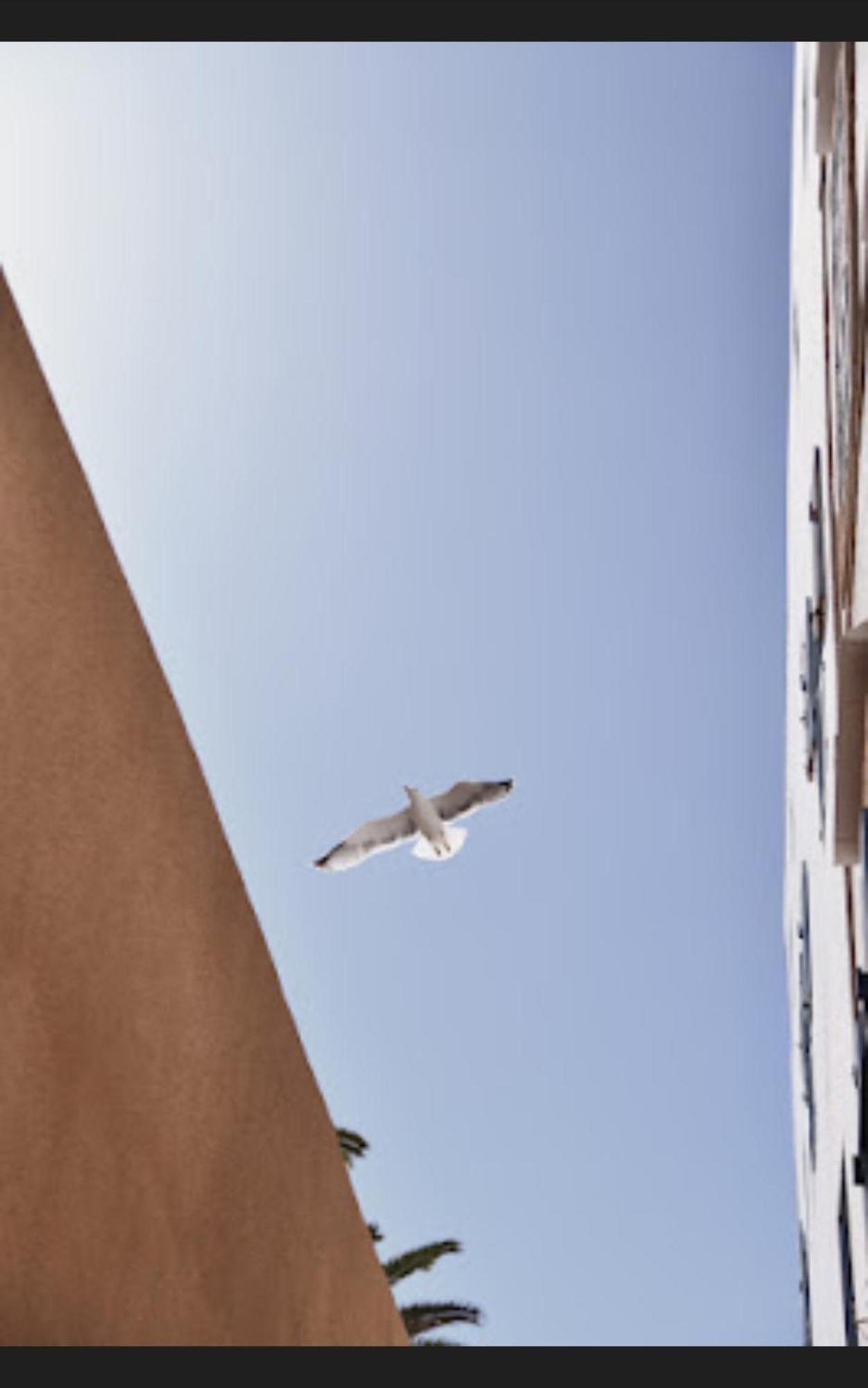 דירות אסאוירה Loft Incroyable En Medina מראה חיצוני תמונה